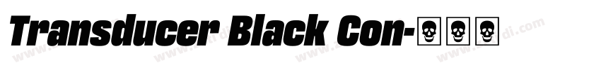 Transducer Black Con字体转换